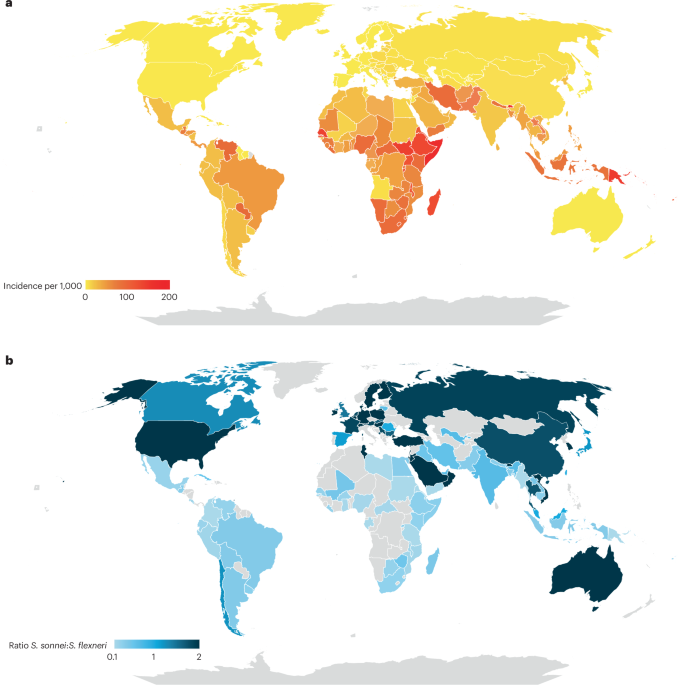 Shigella sonnei: epidemiology, evolution, pathogenesis, resistance and host interactions