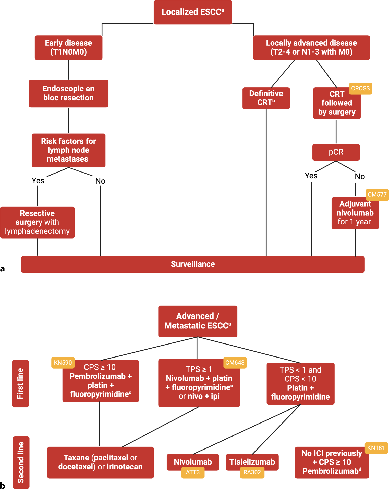 State-of-the-art therapy and innovative treatment strategies in esophageal squamous cell cancer