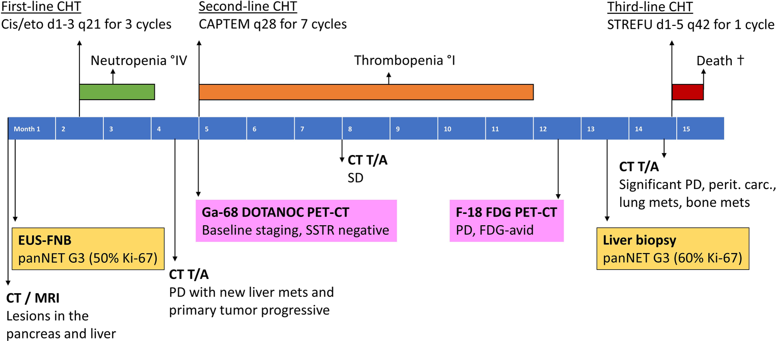 NEC versus NET G3—is there a grey zone? Case report of pancreatic NET G3 with rapid disease progression