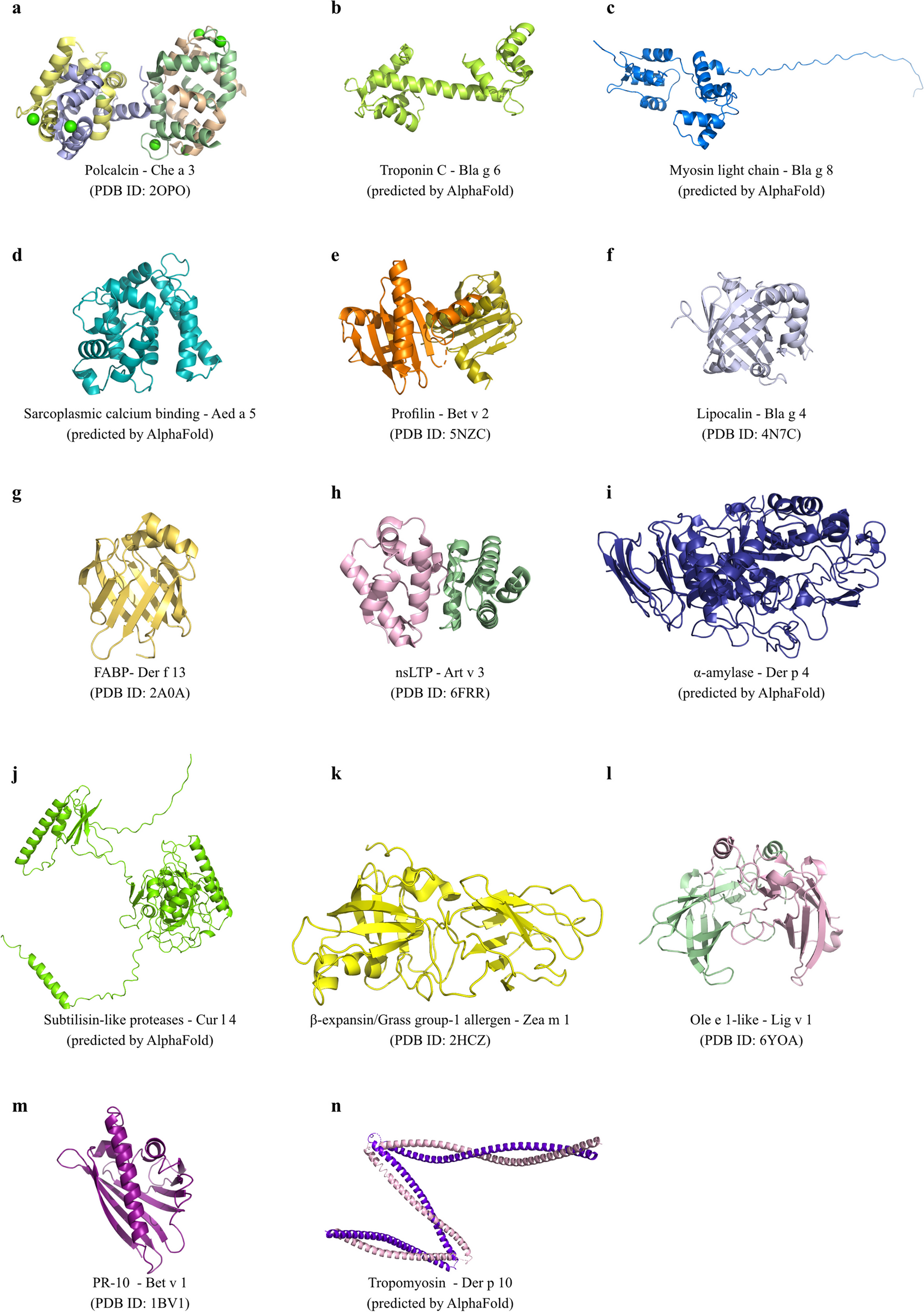 Can Physicochemical Properties Alter the Potency of Aeroallergens? Part 1 – Aeroallergen Protein Families