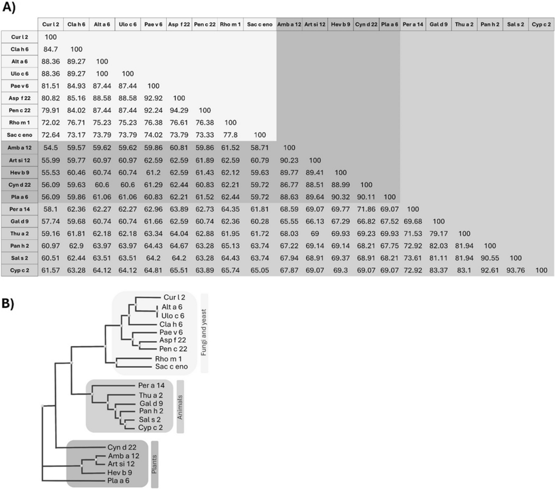 Impact of Enolase in Allergic Disease