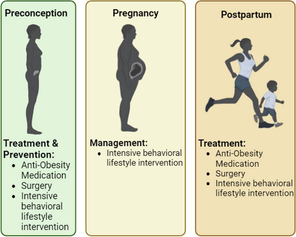 Precision Interventions Targeting the Maternal Metabolic Milieu for Healthy Pregnancies in Obesity