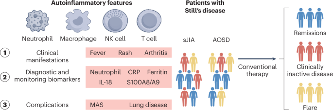 EULAR and PReS bridge the age gap in Still’s disease