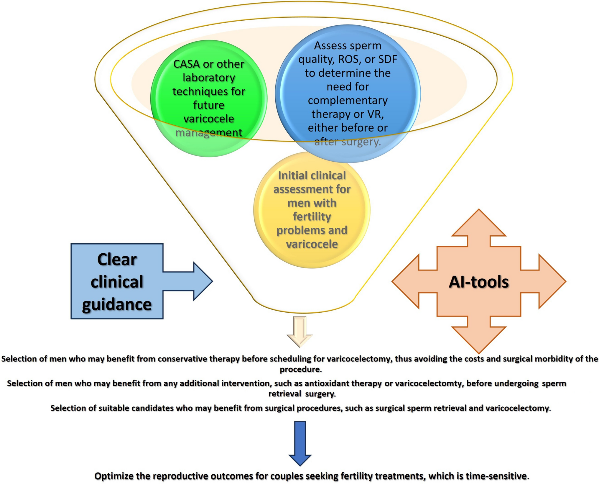 Enhancing Male Fertility Through AI-Based Management of Varicoceles