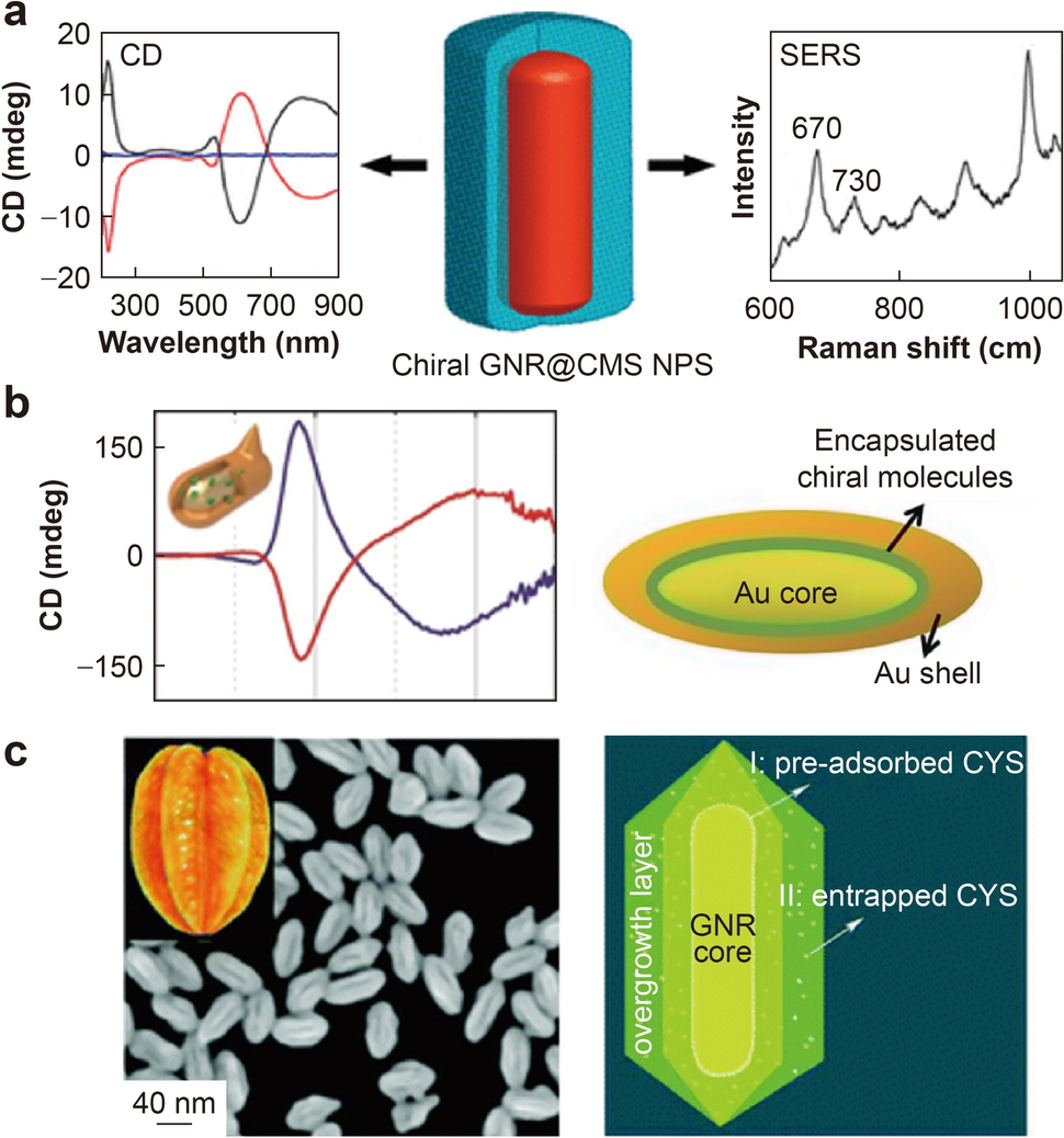 Recent Progress in the Construction of Chiral Plasmonic Gold Nanostructures and Their Biochemical Sensing Applications