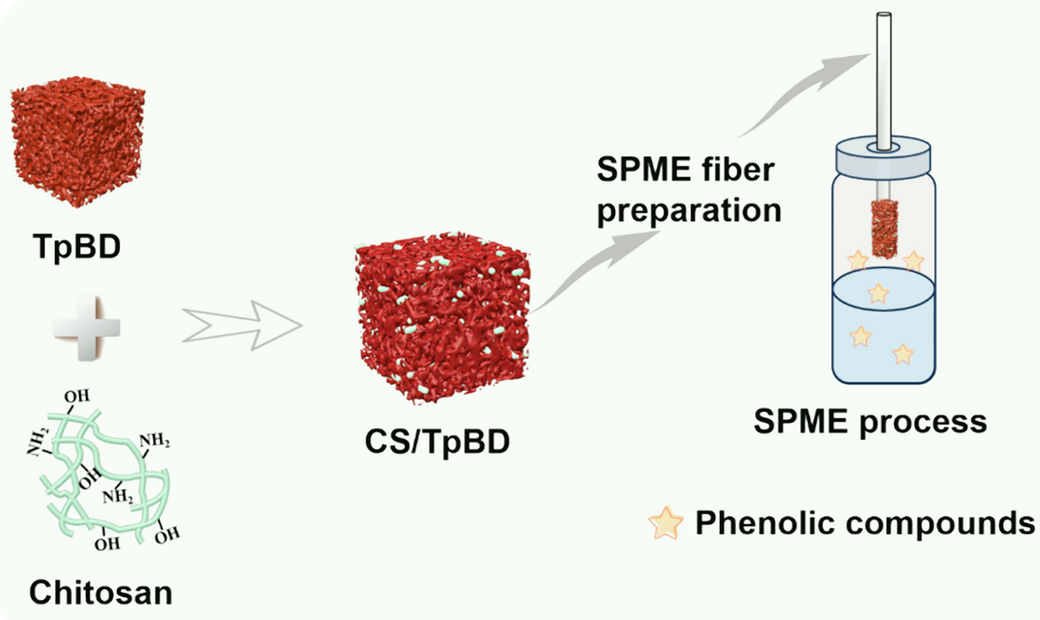 Hydrophilic Chitosan/Covalent Organic Framework Composites for Efficient Solid-Phase Microextraction of Polar Phenolic Compounds Prior to Gas Chromatography: Mass Spectrometry Analysis