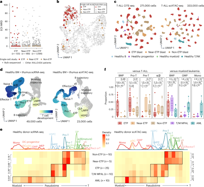 A multiomic atlas identifies a treatment-resistant, bone marrow progenitor-like cell population in T cell acute lymphoblastic leukemia