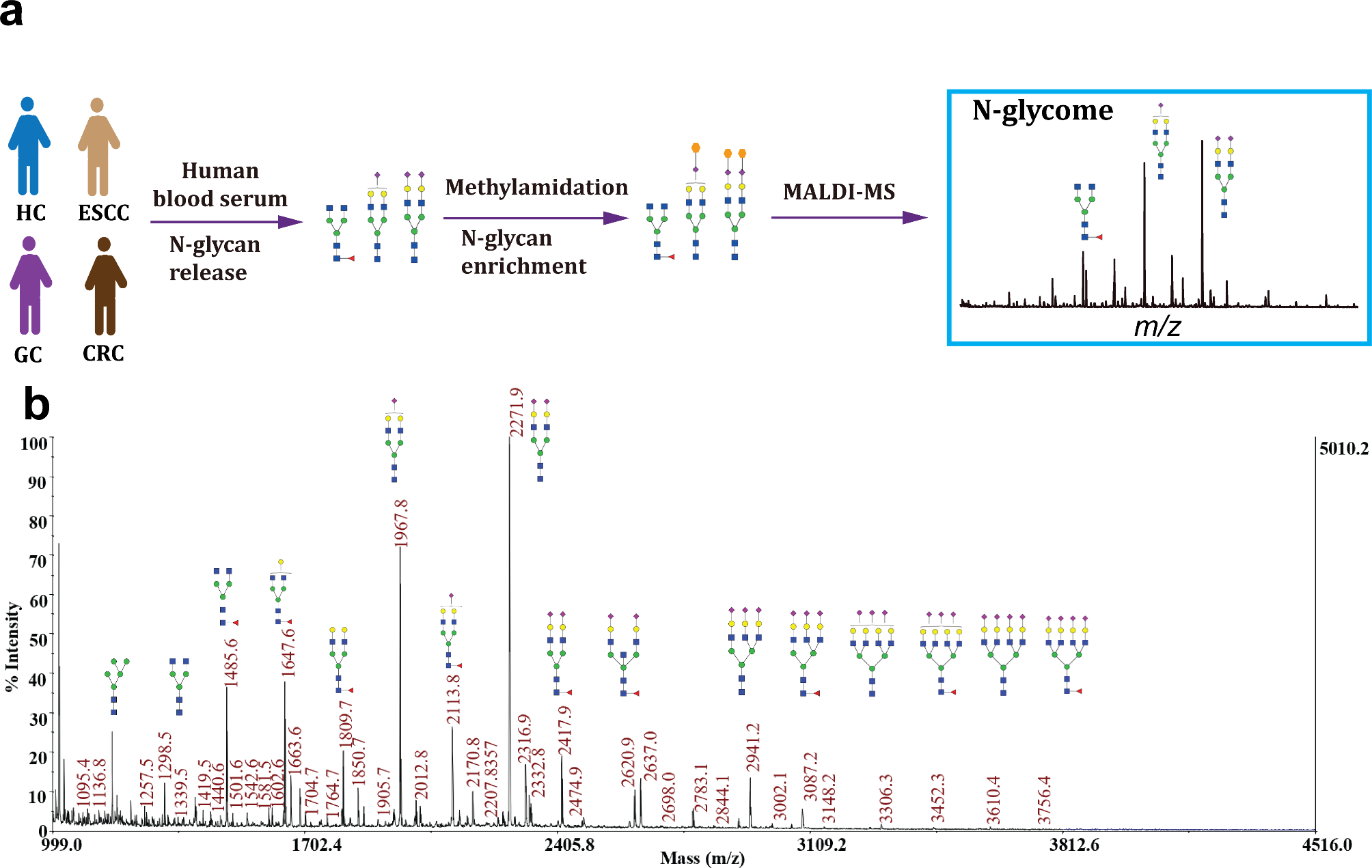 Identification of serum N-glycans signatures in three major gastrointestinal cancers by high-throughput N-glycome profiling