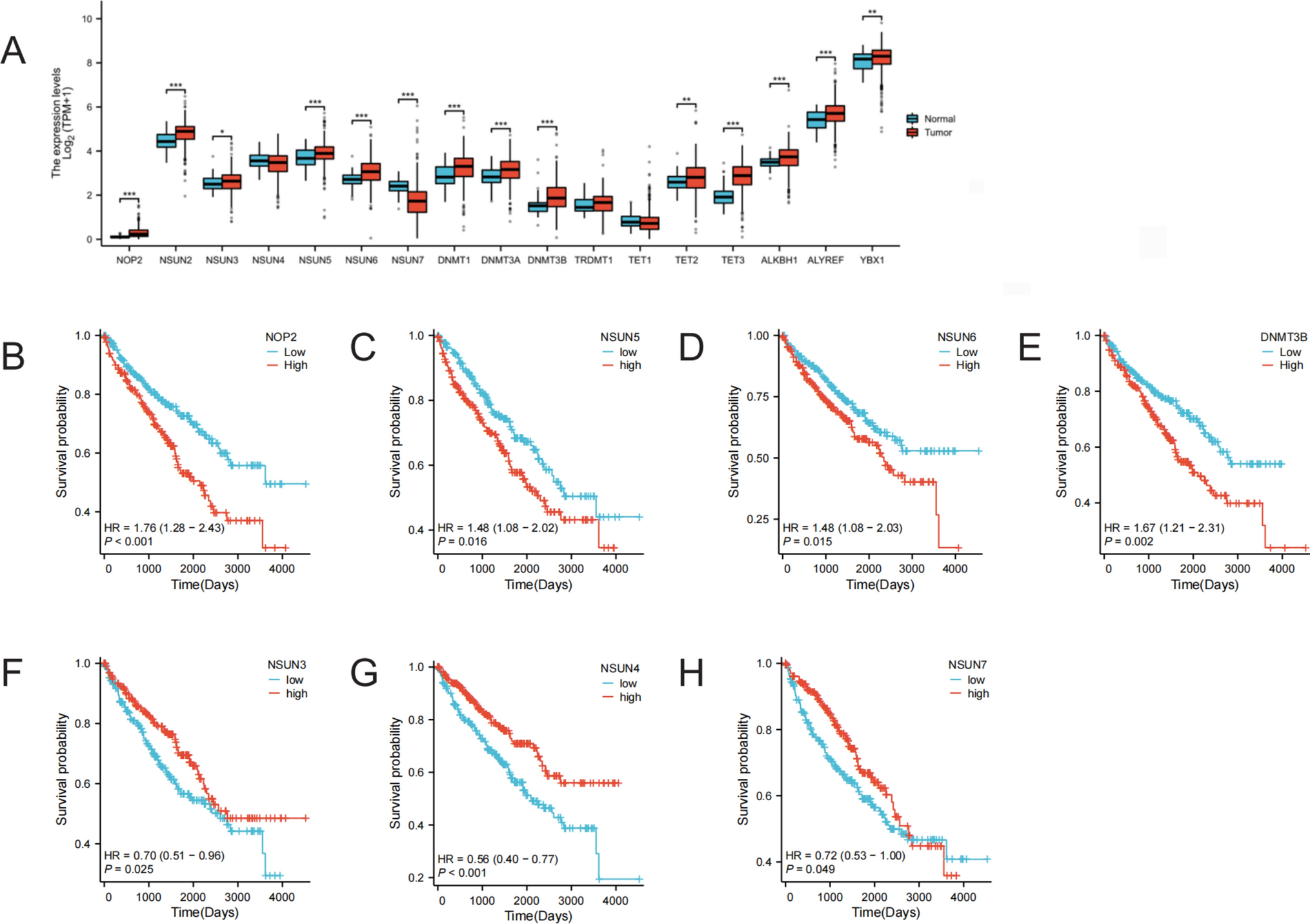 The prognostic implications and oncogenic role of NSUN5 in clear cell renal cell carcinoma