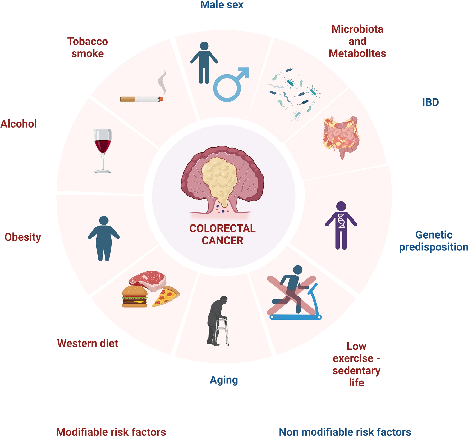 Genetics, diet, microbiota, and metabolome: partners in crime for colon carcinogenesis