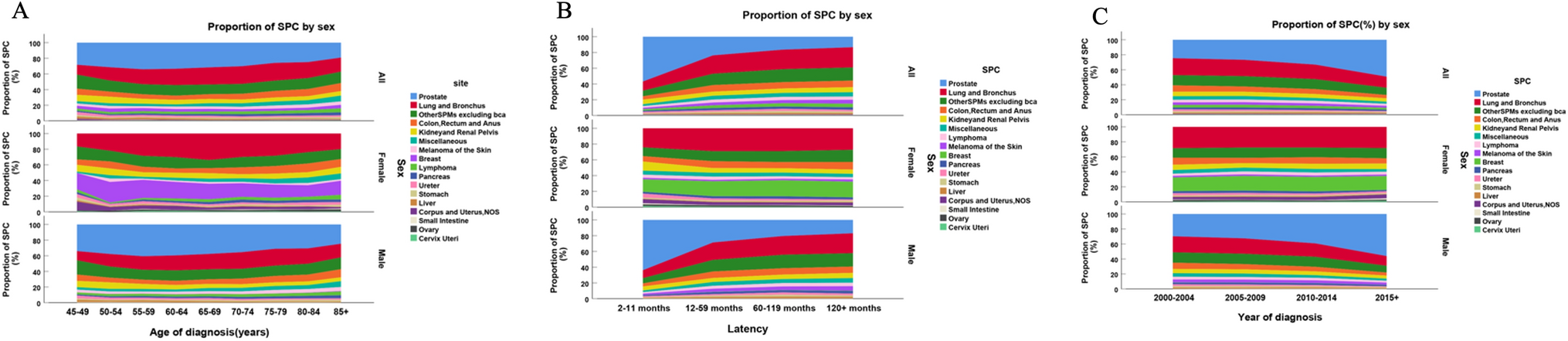 Risk of subsequent primary cancers in bladder cancer survivors