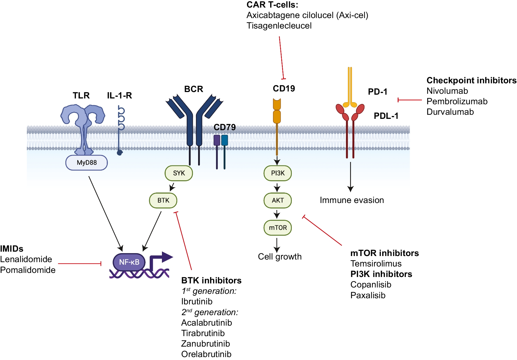 Novel Therapies for Primary Central Nervous System Lymphomas