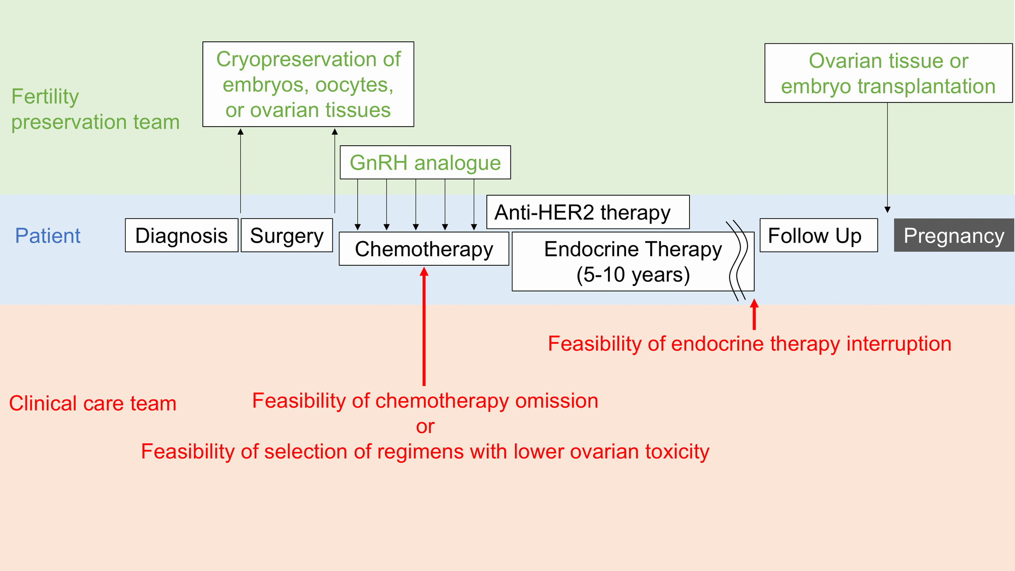 Balancing Fertility Preservation and Treatment Efficacy in (Neo)adjuvant Therapy for Adolescent and Young Adult Breast Cancer Patients: a Narrative Review