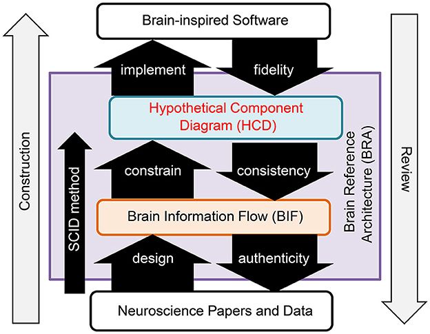 Brain-consistent architecture for imagination