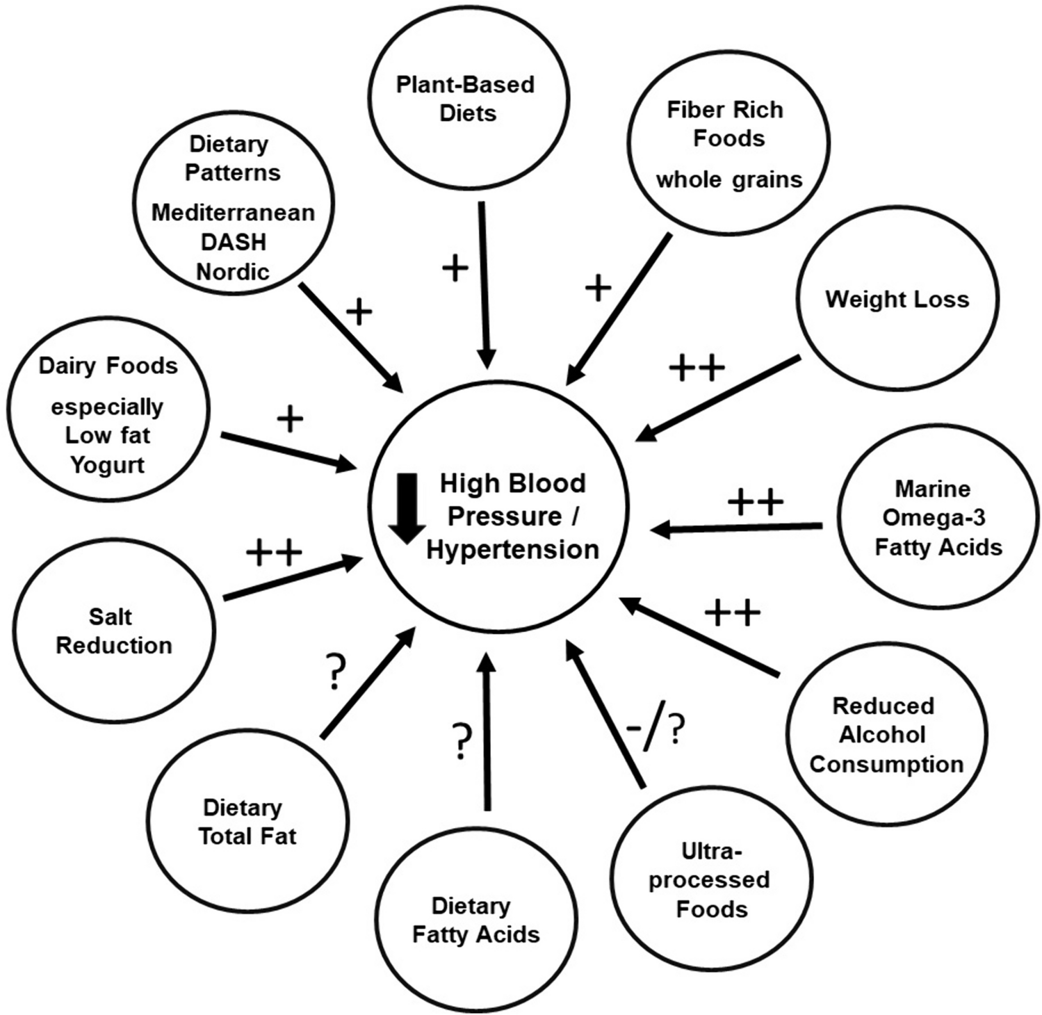 Diet to Stop Hypertension: Should Fats be Included?