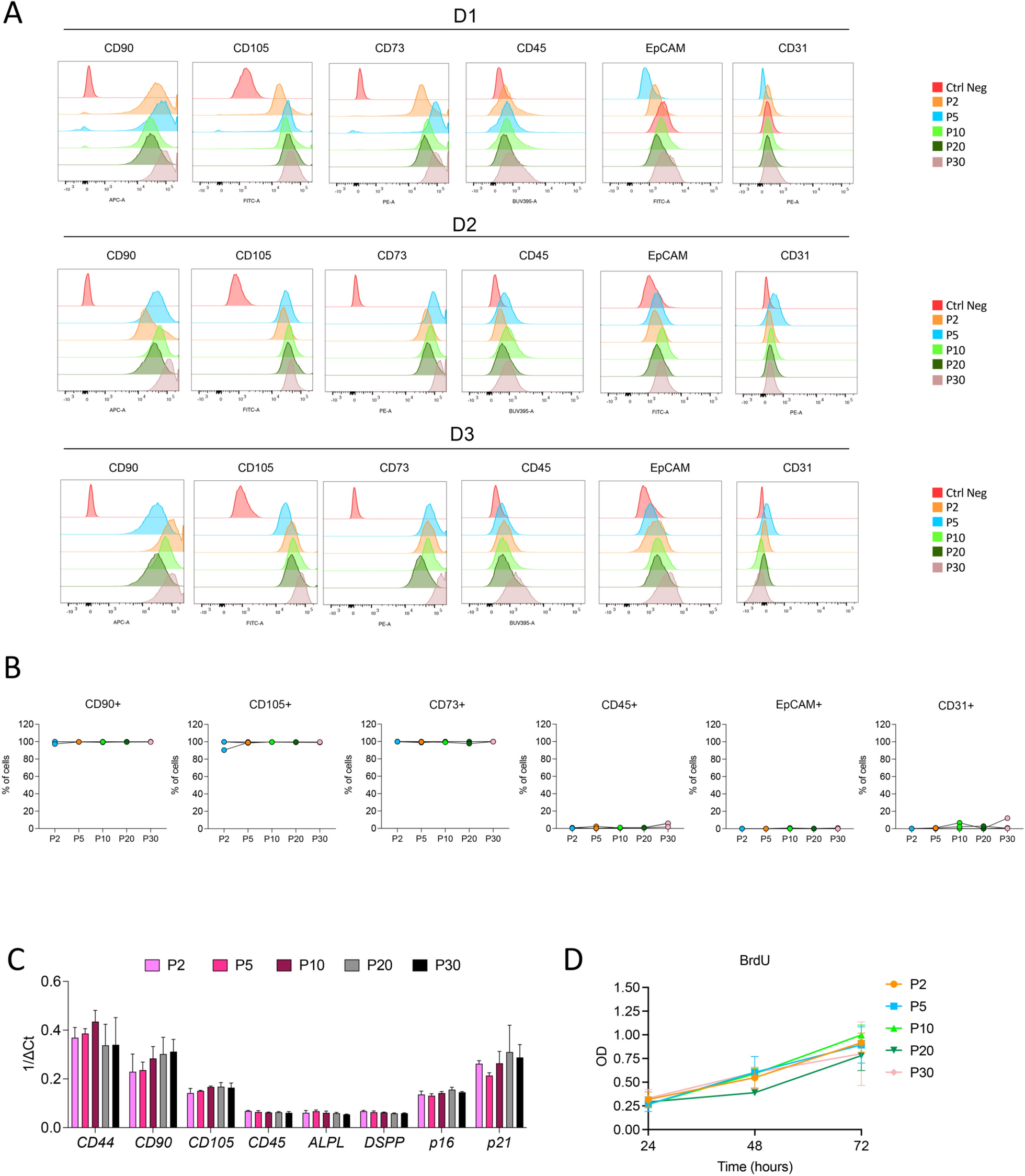 Dental pulp mesenchymal stem cell (DPSCs)-derived soluble factors, produced under hypoxic conditions, support angiogenesis via endothelial cell activation and generation of M2-like macrophages