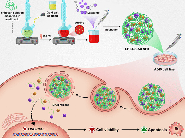 Precision Nanomedicine: Lapatinib-Loaded Chitosan-Gold Nanoparticles Targeting LINC01615 for Lung Cancer Therapy