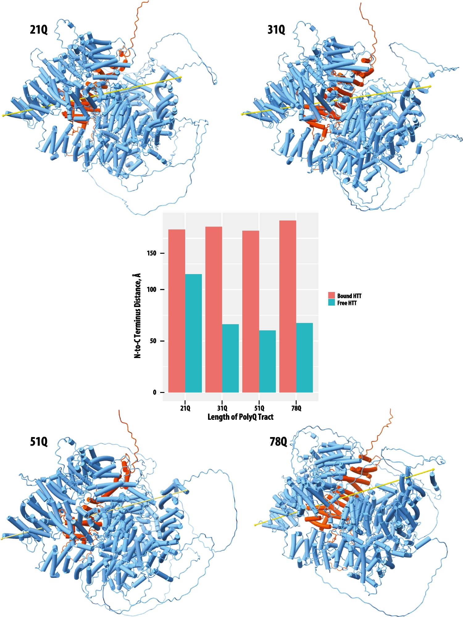 Evaluating AlphaFold for Clinical Pharmacology and Pharmacogenetics: A Case-Study of Huntingtin Variants Linked to Huntington’s Disease