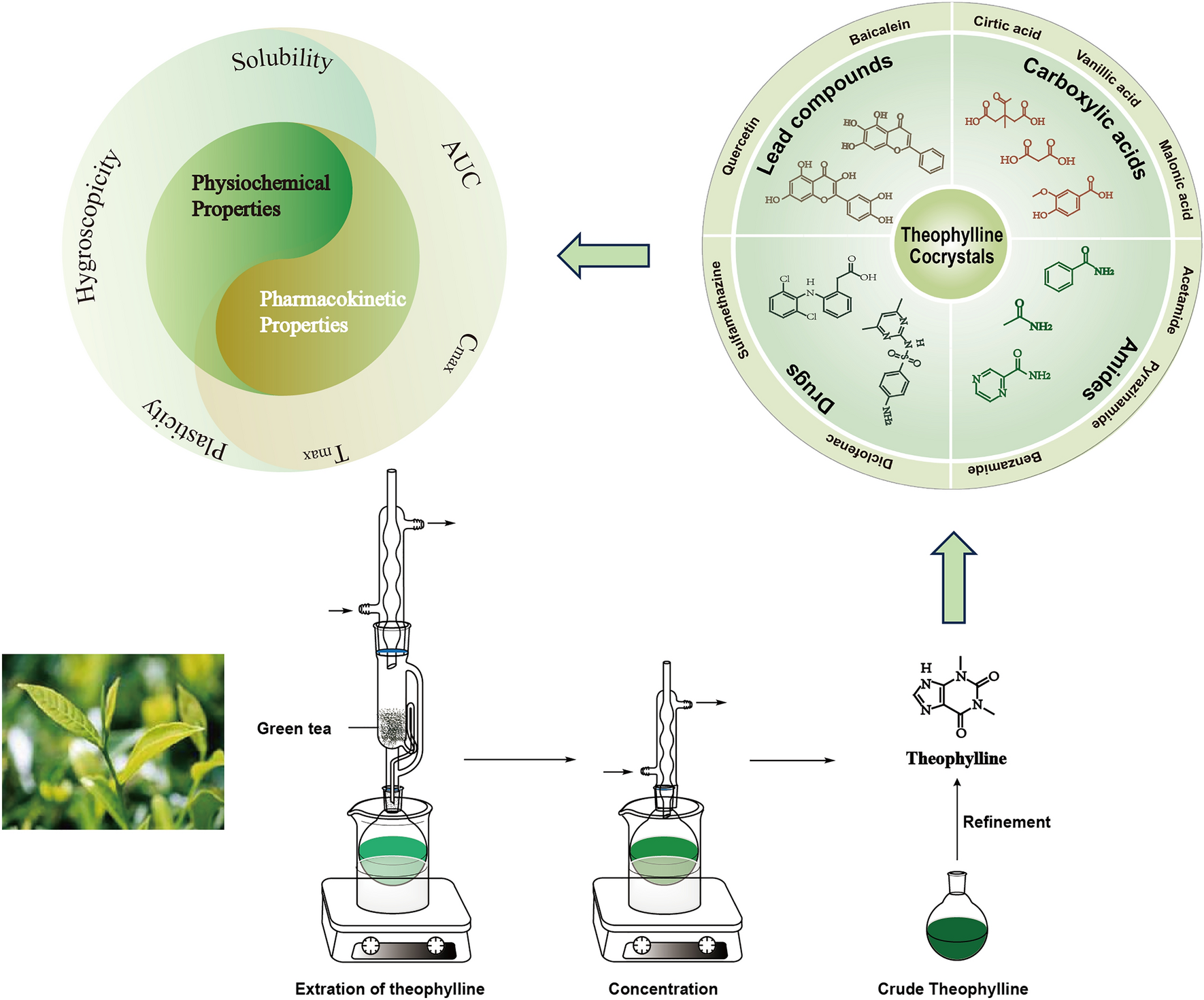 Recent advances in pharmaceutical cocrystals of theophylline