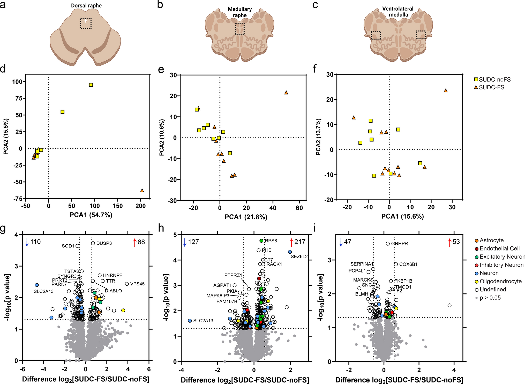 Raphe and ventrolateral medulla proteomics in sudden unexplained death in childhood with febrile seizure history