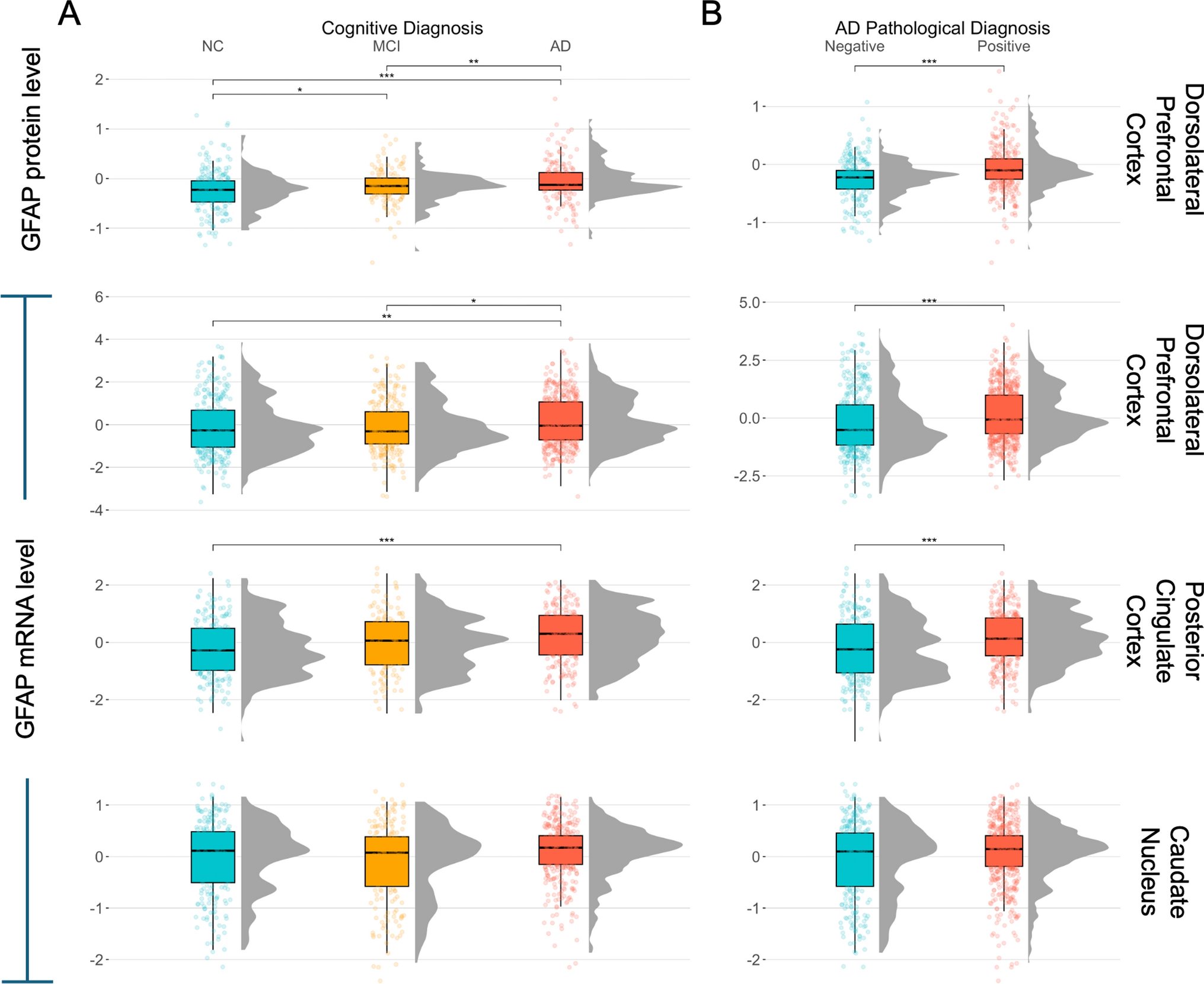 Pathologic and clinical correlates of region-specific brain GFAP in Alzheimer’s disease