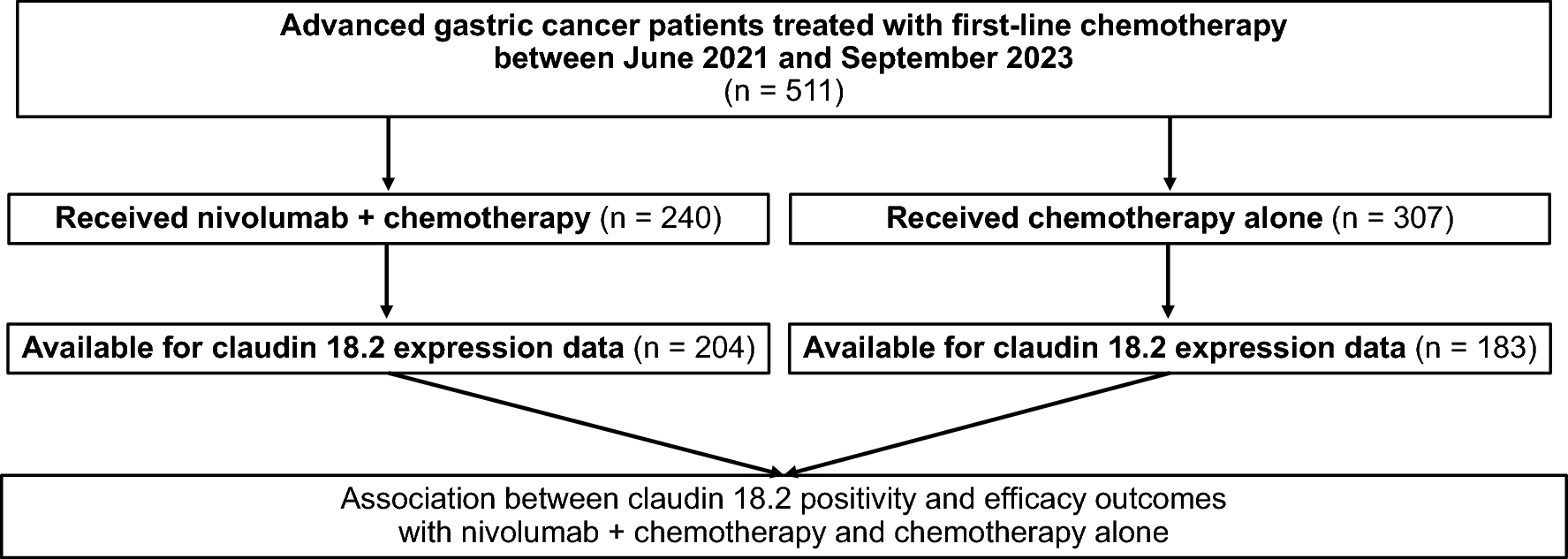 Survival outcomes of patients with gastric cancer treated with first-line nivolumab plus chemotherapy based on claudin 18.2 expression