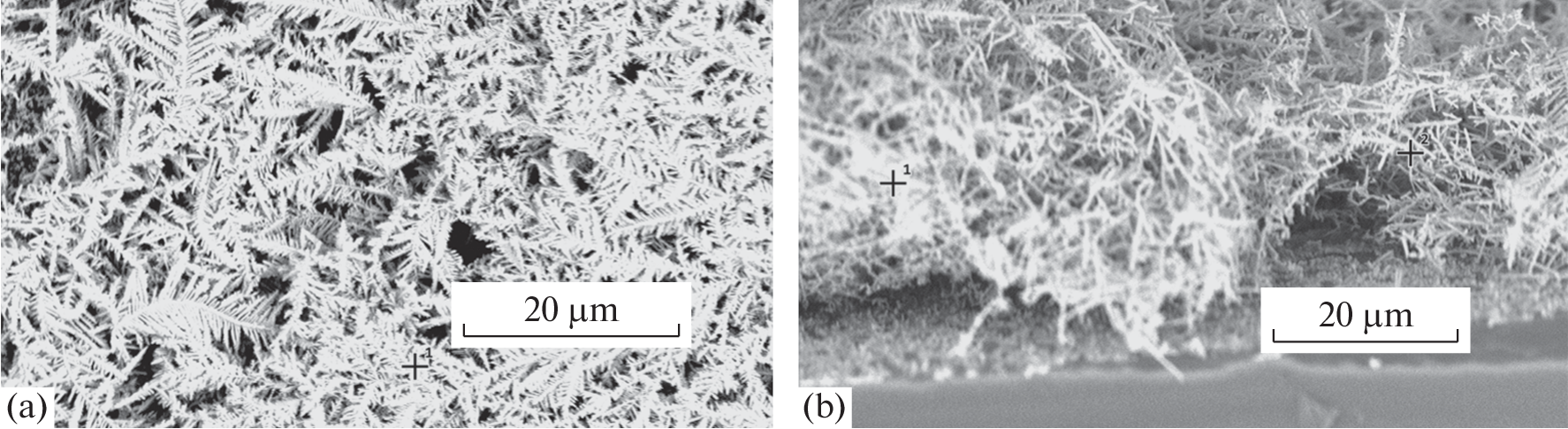 Dendritic Silver Structures for the SERS Diagnostics of Liquids