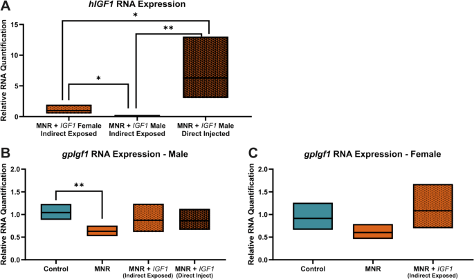 Placental nanoparticle-mediated IGF1 gene therapy corrects fetal growth restriction in a guinea pig model