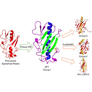 The 1.3 Å resolution structure of the truncated group Ia type IV pilin from Pseudomonas aeruginosa strain P1