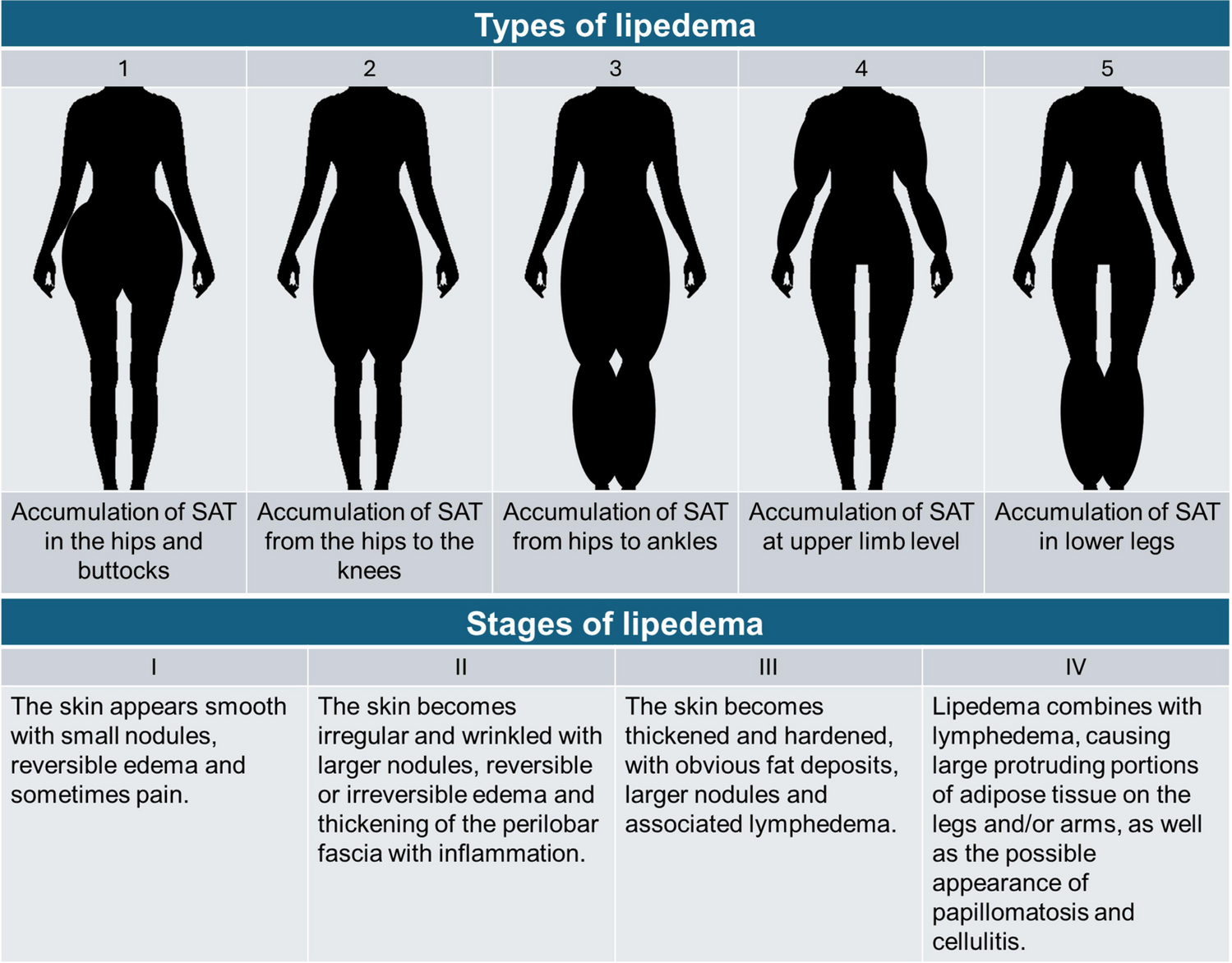 The Role of Physical Exercise as a Therapeutic Tool to Improve Lipedema: A Consensus Statement from the Italian Society of Motor and Sports Sciences (Società Italiana di Scienze Motorie e Sportive, SISMeS) and the Italian Society of Phlebology (Società Italiana di Flebologia, SIF)