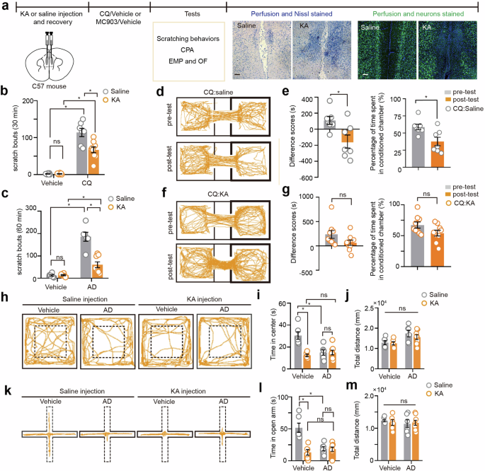 Differential regulation of pruritic sensation and emotion by cannabinoid type 1 receptors on mPFC glutamatergic and GABAergic neurons