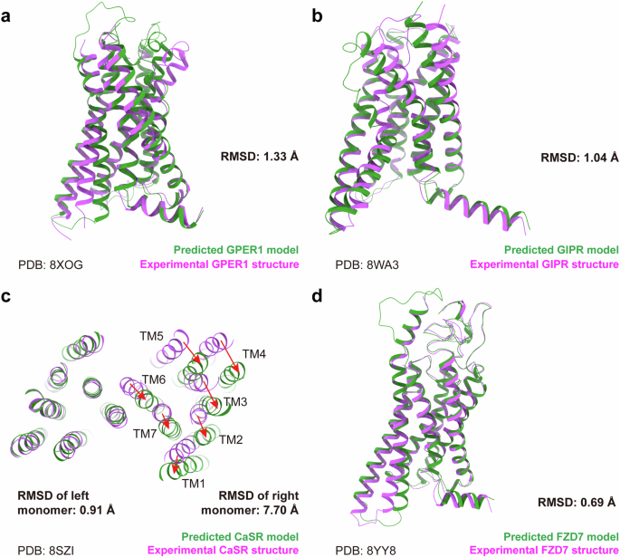 AlphaFold3 versus experimental structures: assessment of the accuracy in ligand-bound G protein-coupled receptors