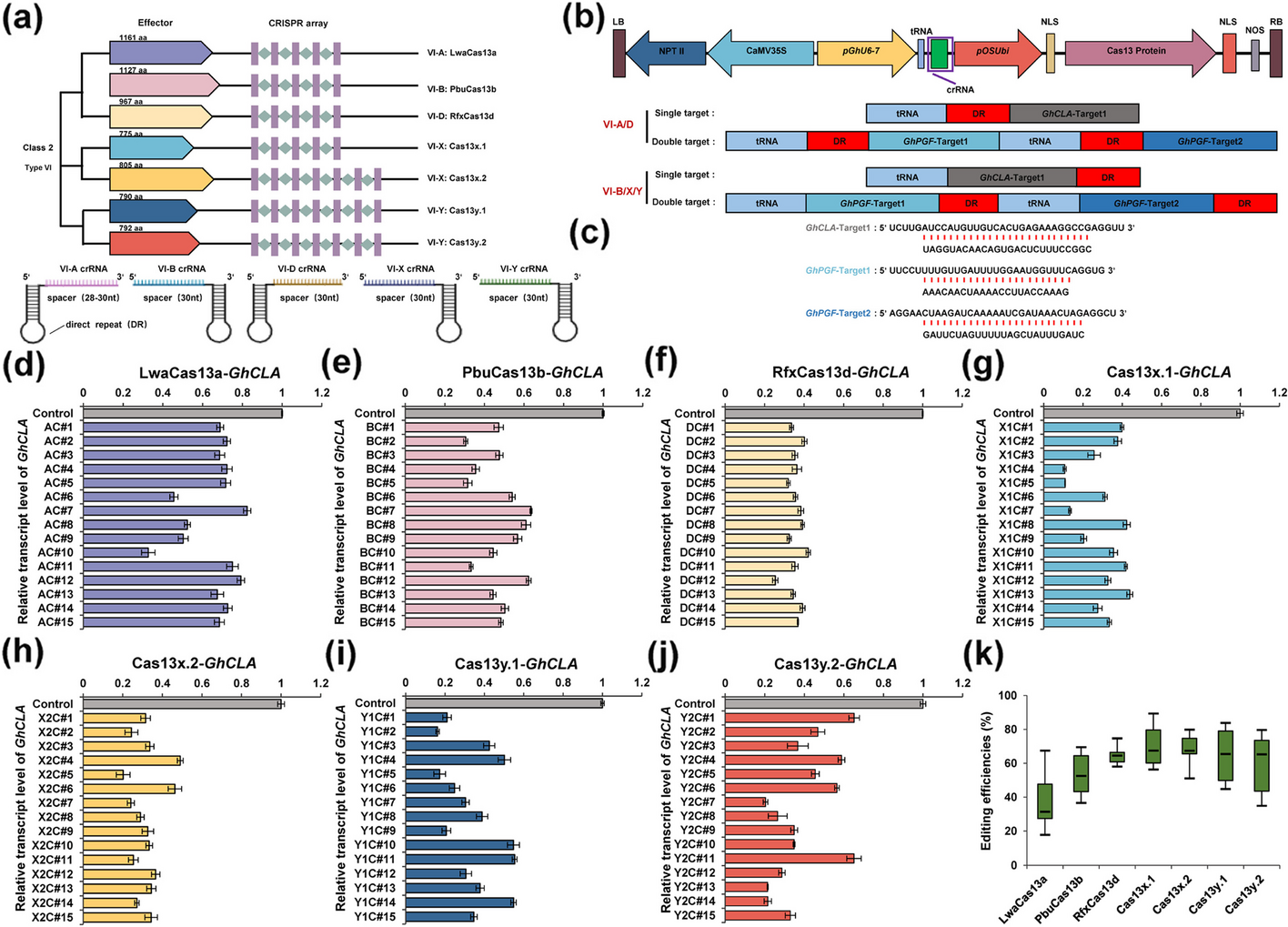 Systemic evaluation of various CRISPR/Cas13 orthologs for knockdown of targeted transcripts in plants