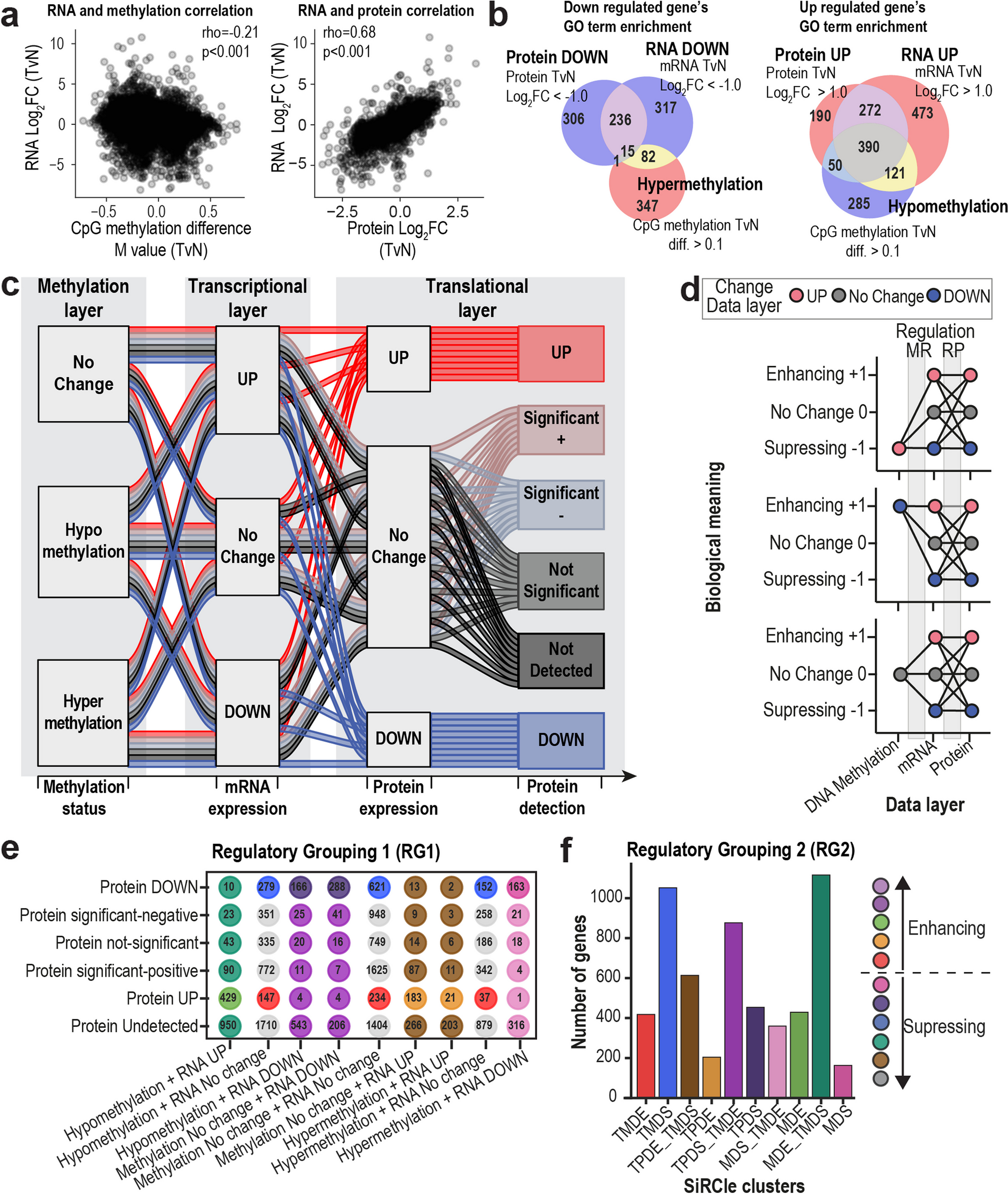 SiRCle (Signature Regulatory Clustering) model integration reveals mechanisms of phenotype regulation in renal cancer