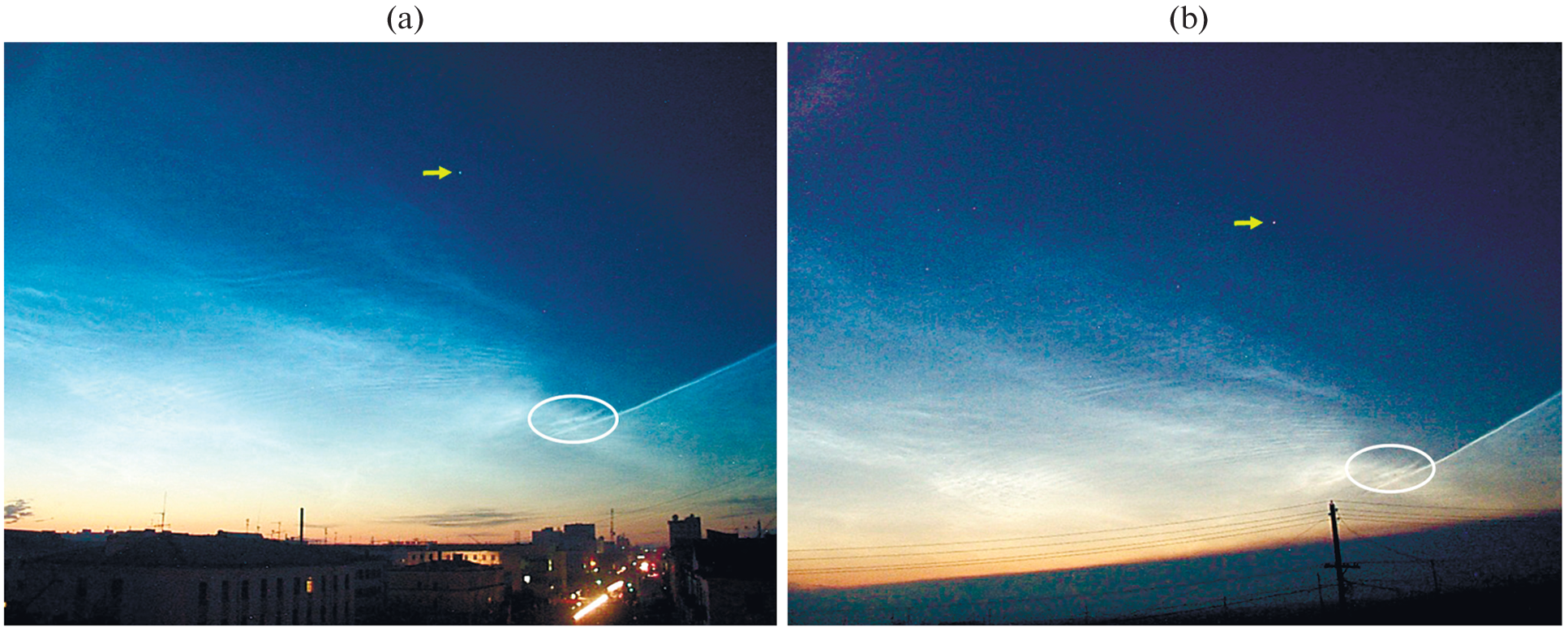 Features of the Wave Structure of the Mesosphere from Observations of Noctilucent Clouds