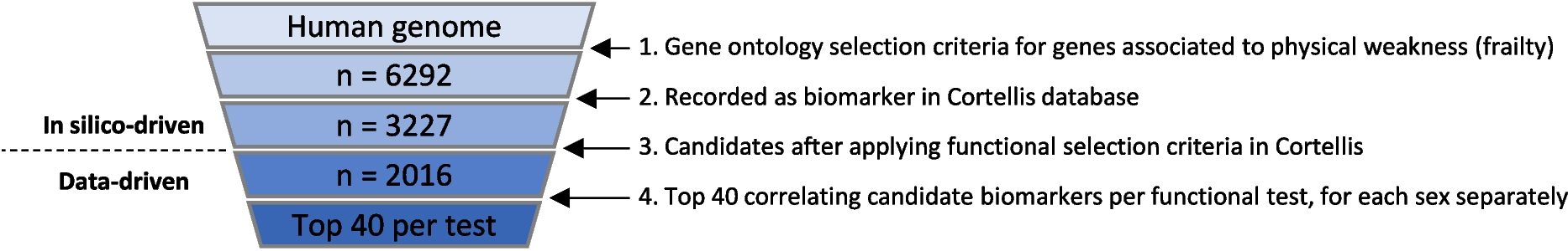 Blood-based biomarkers for early frailty are sex-specific: validation of a combined in silico prediction and data-driven approach