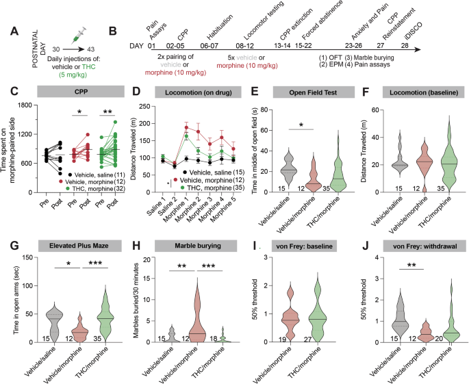 Neural basis of adolescent THC-induced potentiation of opioid responses later in life