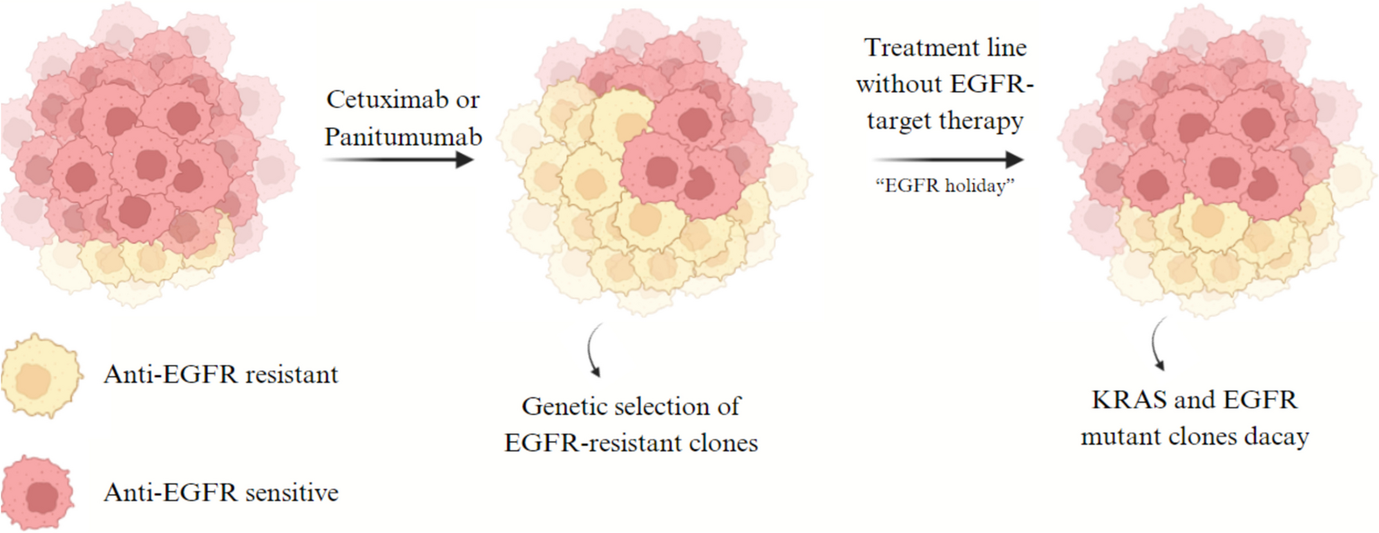 Anti-EGFR Rechallenge in Metastatic Colorectal Cancer and the Role of ctDNA: A Systematic Review and Meta-analysis