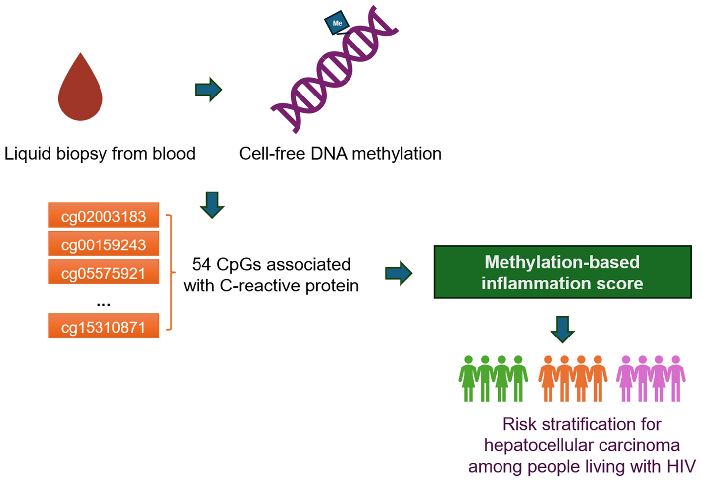 Cell-free DNA methylation-based inflammation score as a marker for hepatocellular carcinoma among people living with HIV