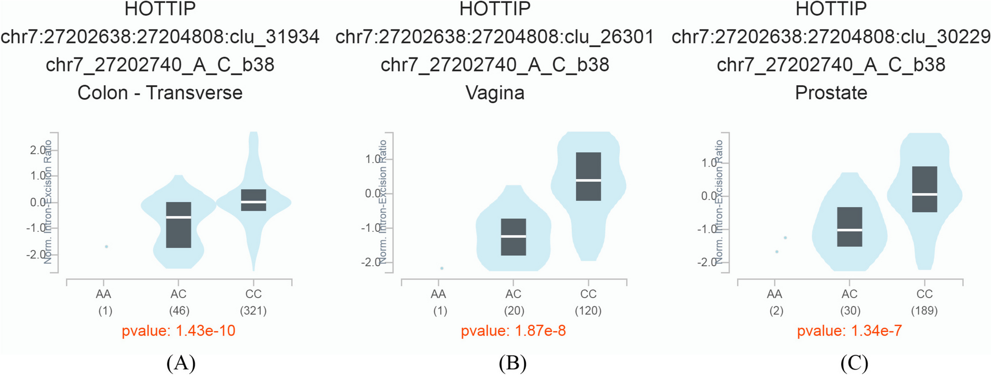 HOTTIP rs1859168 C > A polymorphism reduces neuroblastoma susceptibility in Chinese children