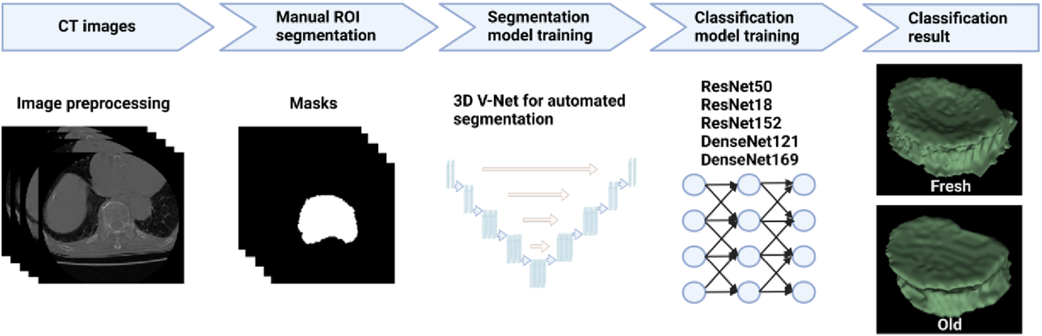 Deep learning model for automated detection of fresh and old vertebral fractures on thoracolumbar CT