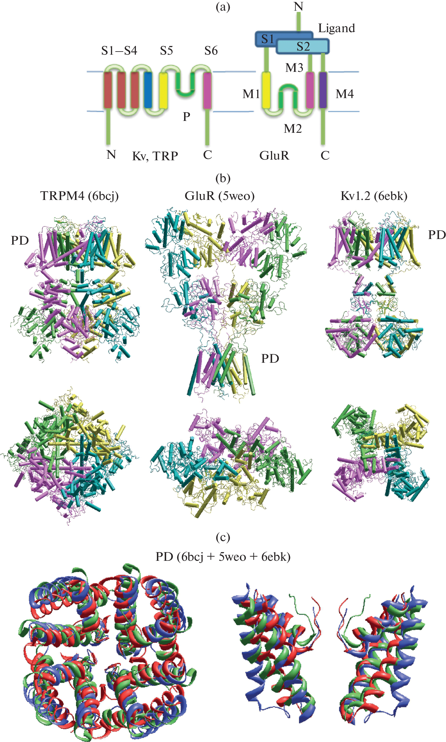 Structural Studies of Ion Channels: Achievements, Problems, and Perspectives