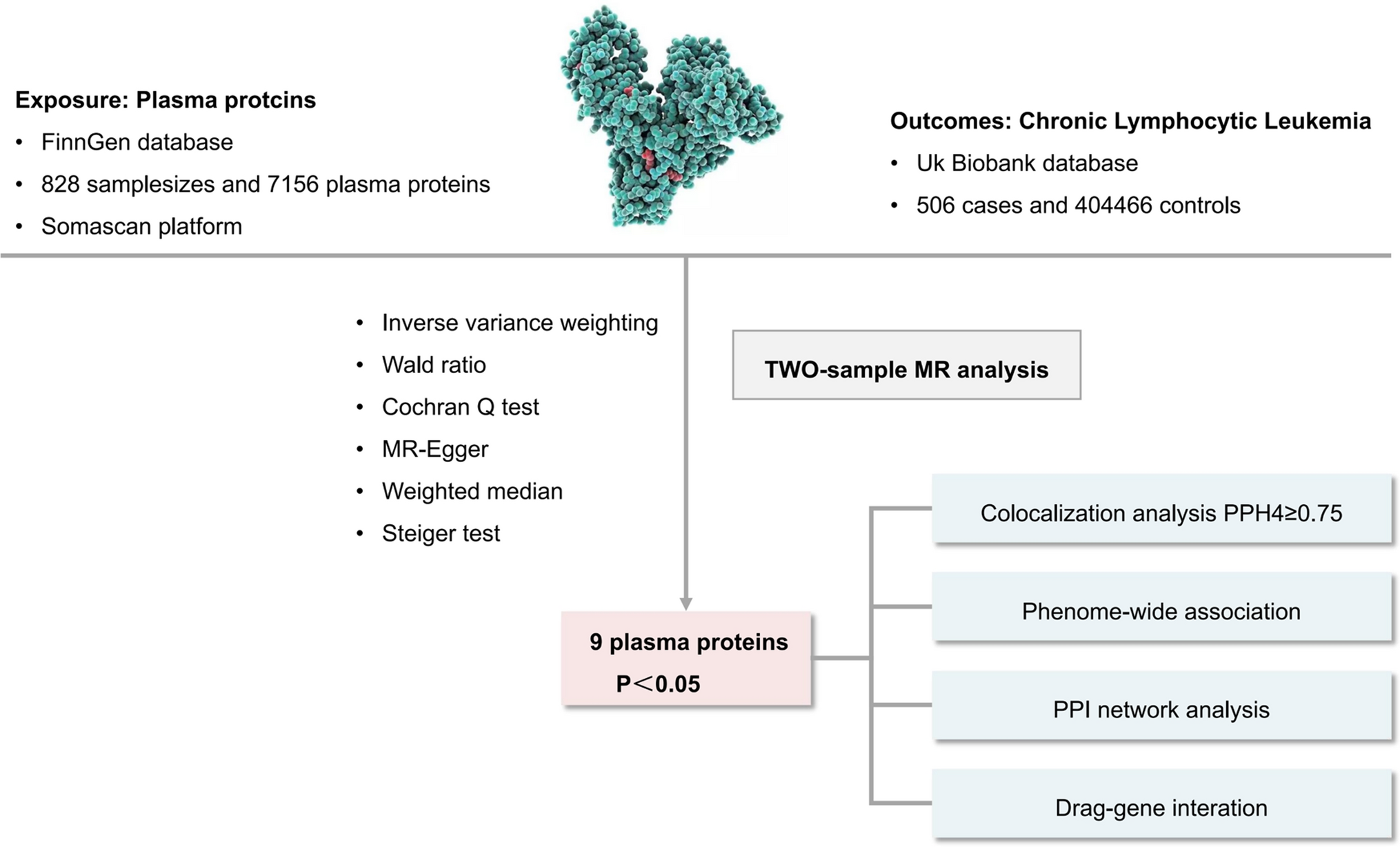 Identification of biomarkers for chronic lymphocytic leukemia risk: a proteome-wide Mendelian randomization study