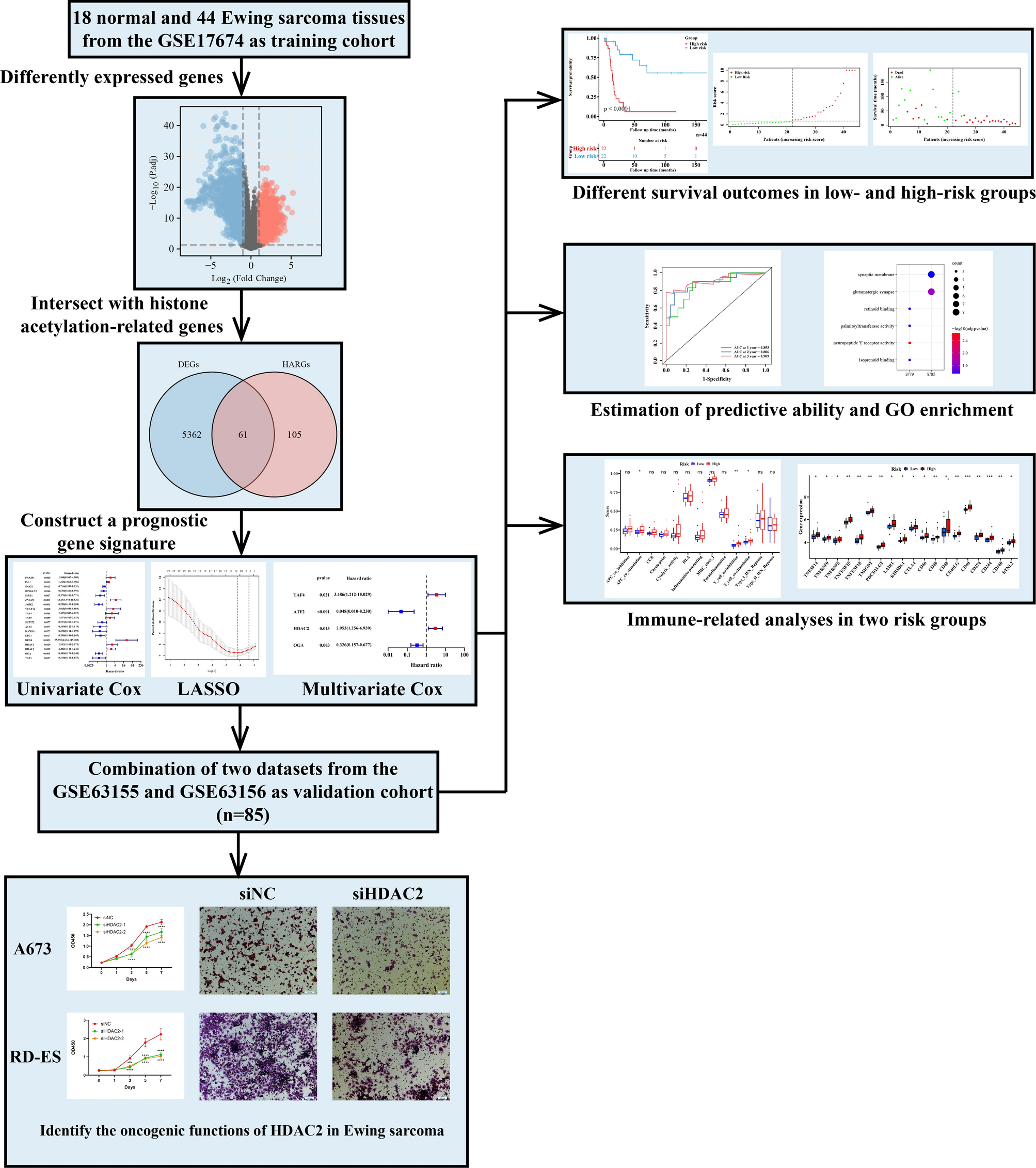 A novel histone acetylation-associated gene signature with prognostic value in Ewing sarcoma