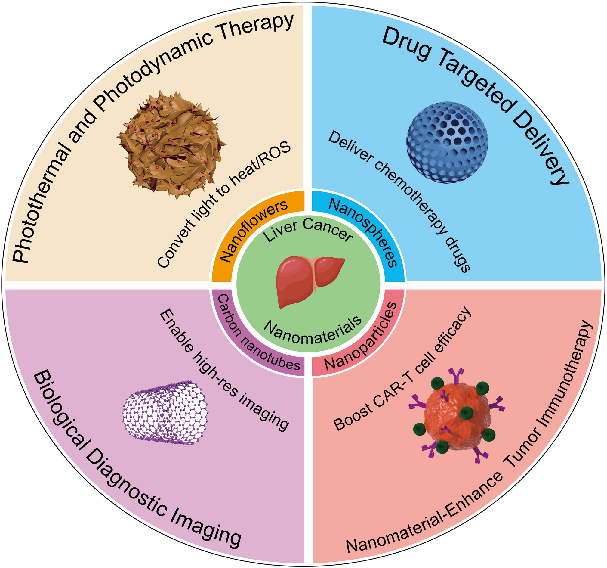 Global research on nanomaterials for liver cancer from 2004 to 2023: a bibliometric and visual analysis