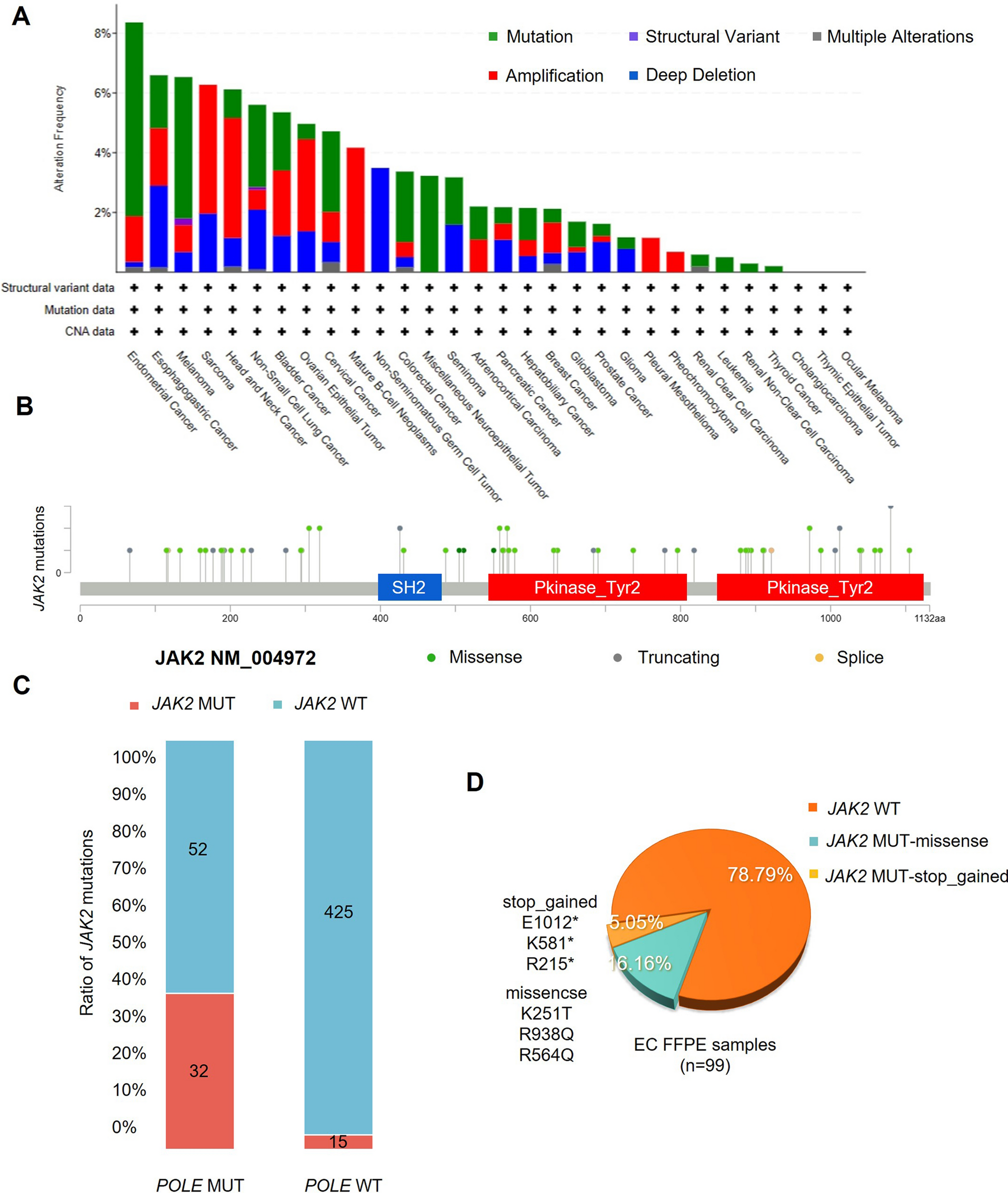 JAK2 inactivating mutations promotes endometrial cancer progression by targeting HIF-1α