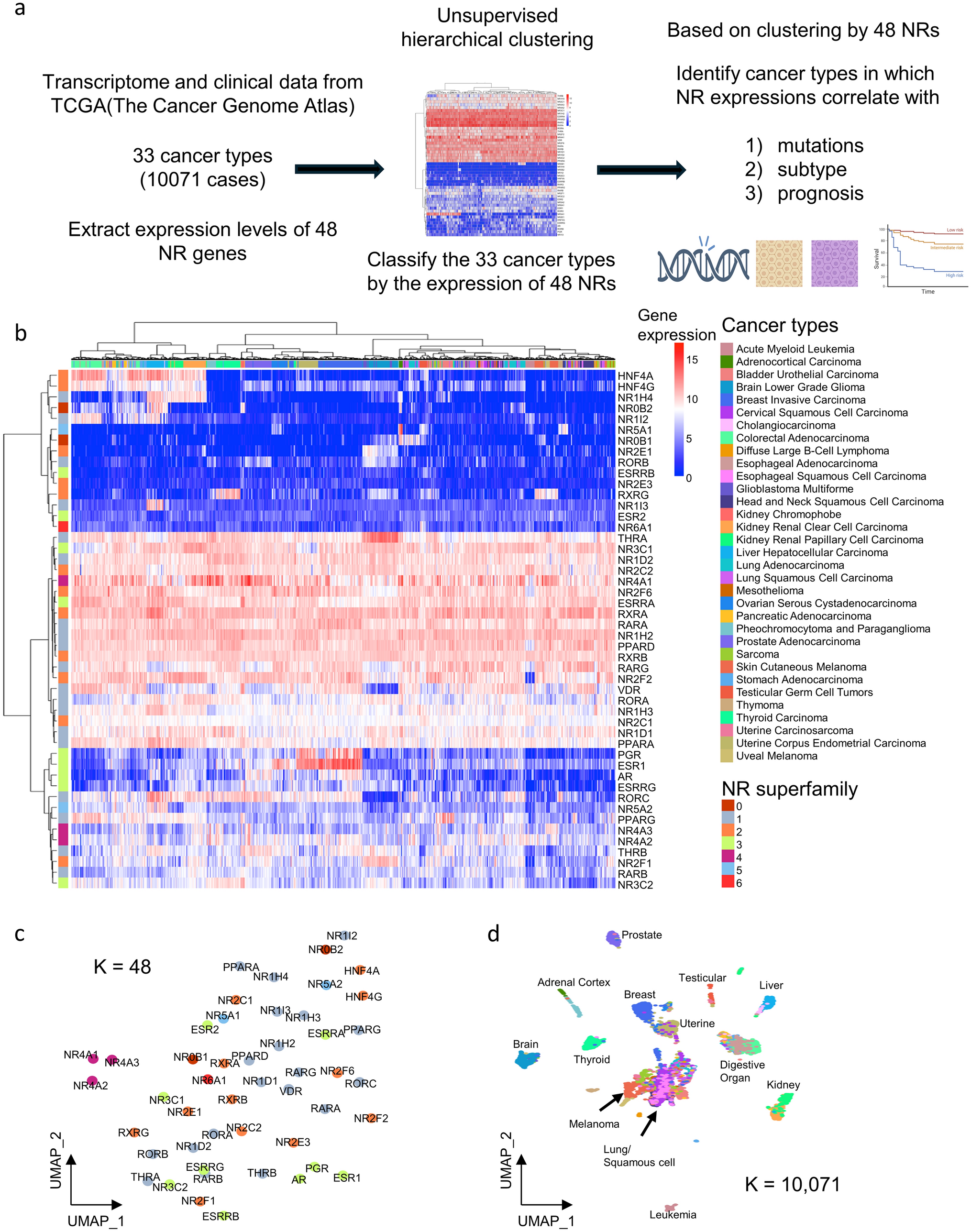 Nuclear receptor profiling for subtype classification and as prognostic markers in 33 cancer types