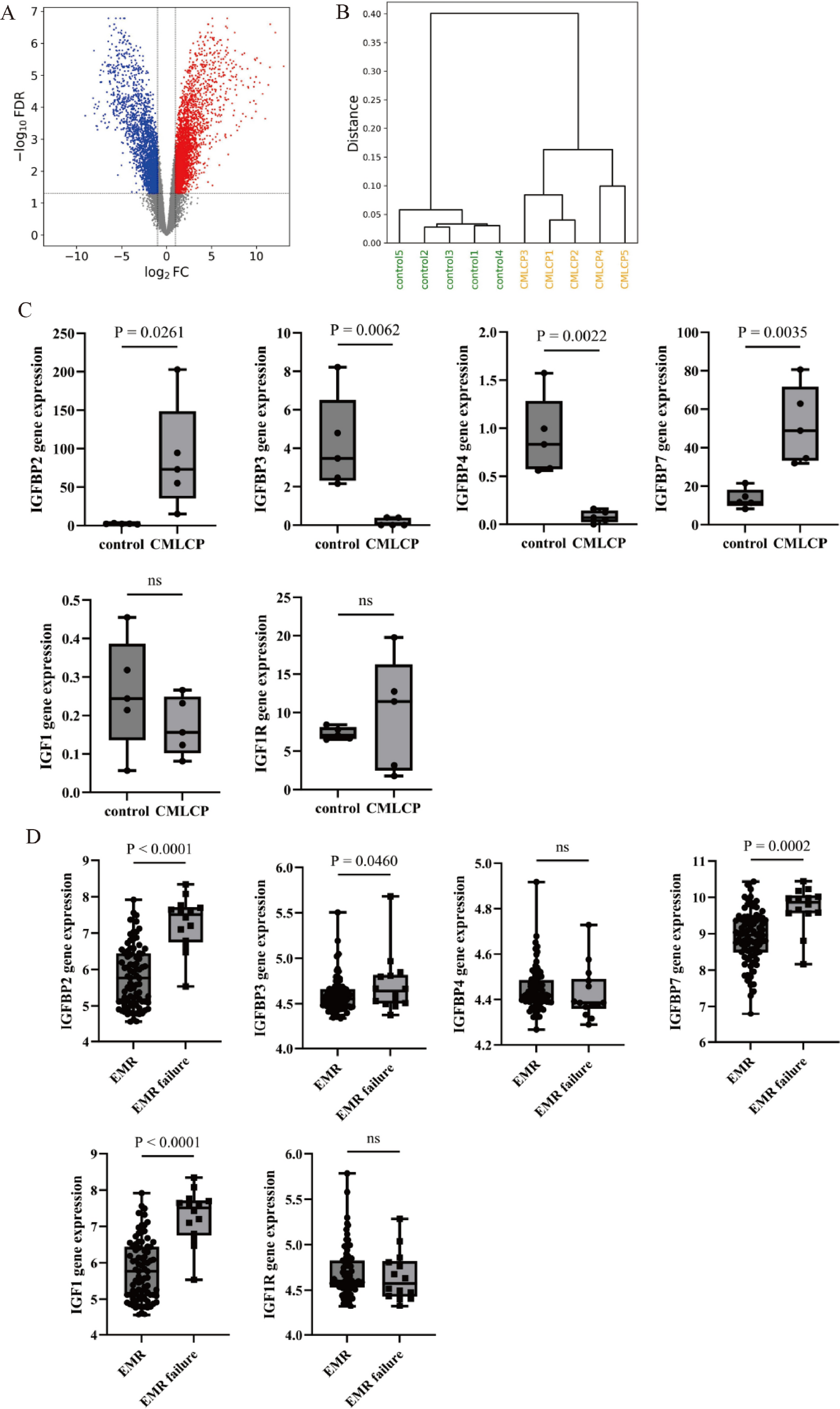 Targeting the insulin-like growth factor-1 receptor to overcome imatinib resistance in chronic myeloid leukemia