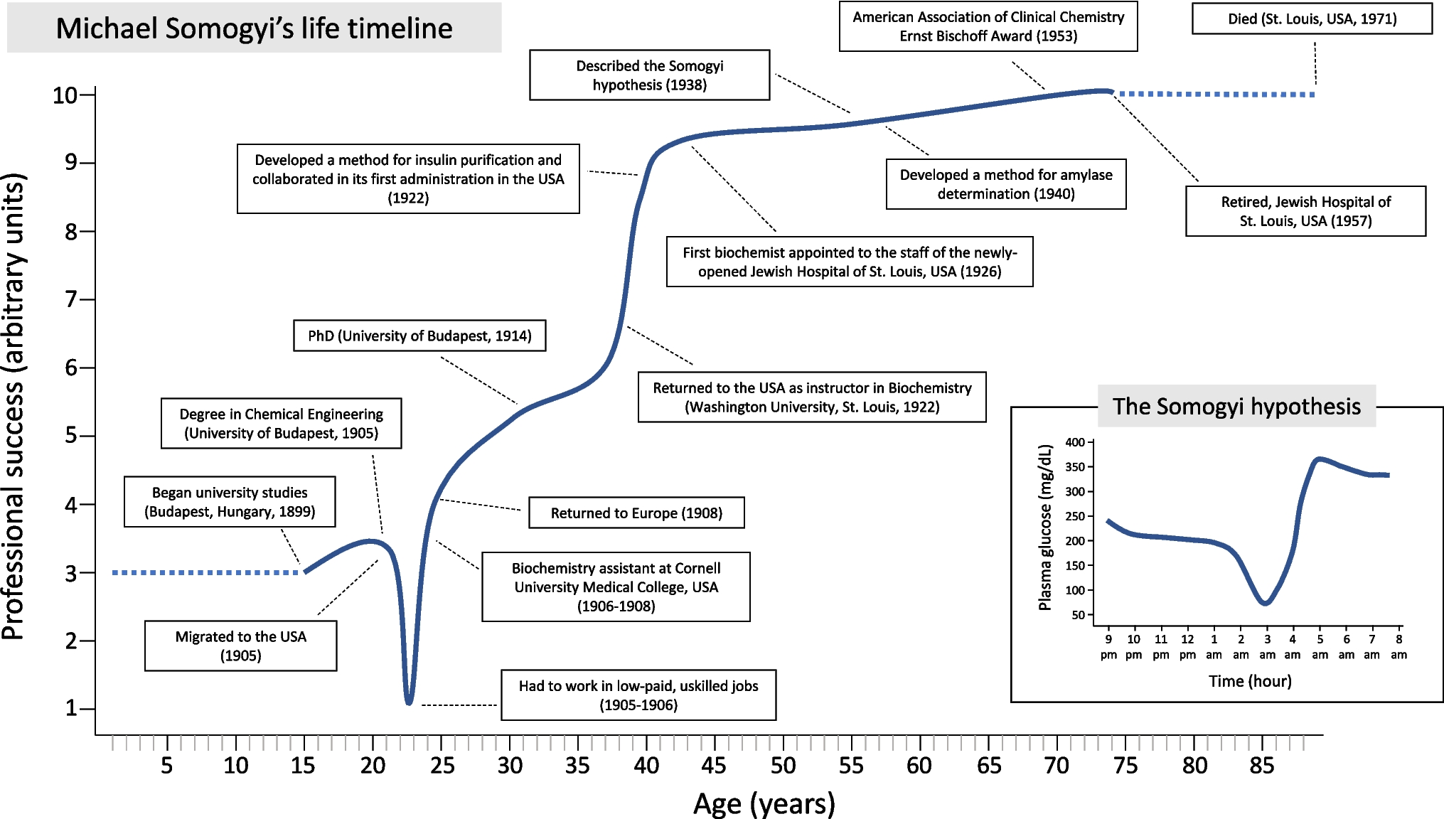 The Somogyi hypothesis: a parallelism with Michael Somogyi’s life