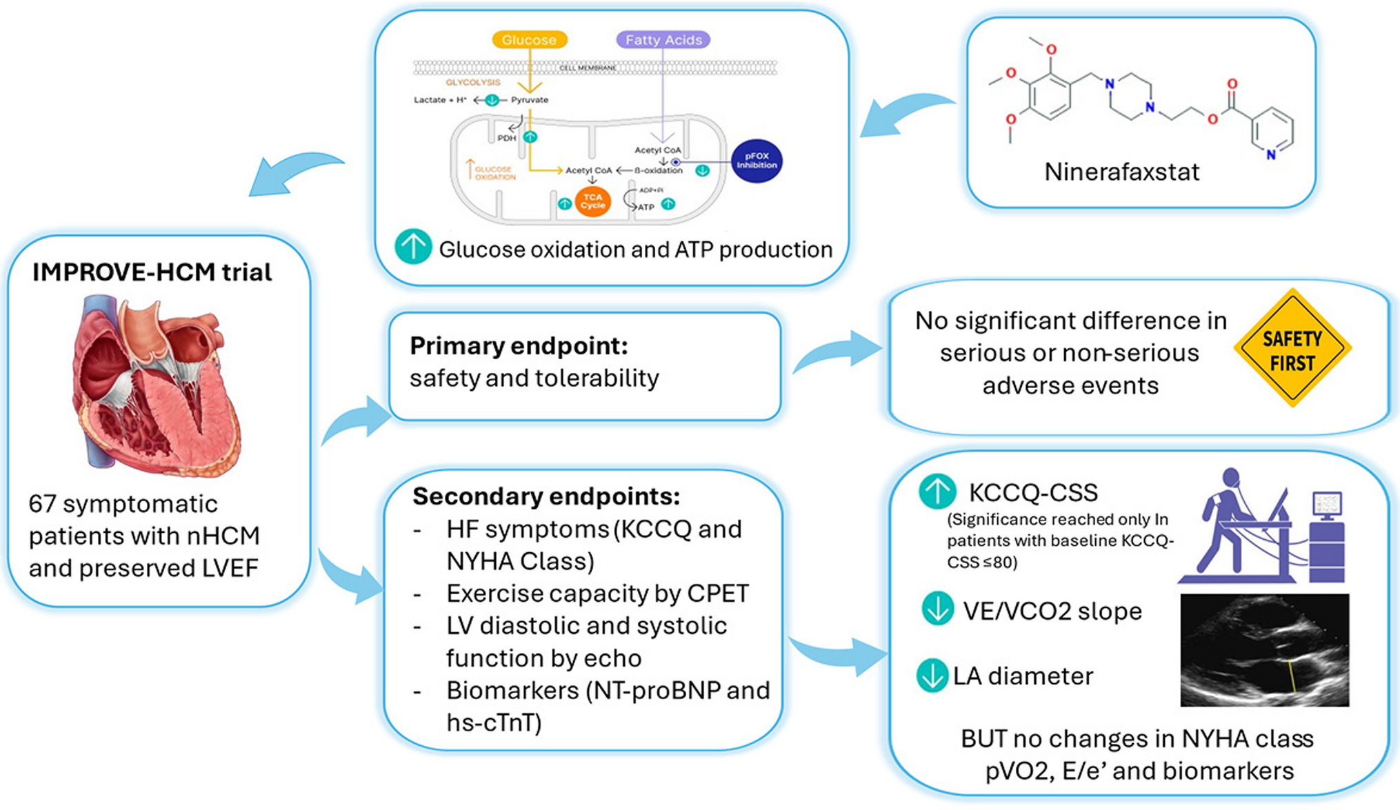 Modulating energy metabolism to treat non-obstructive hypertrophic cardiomyopathy? Insights from IMPROVE-HCM